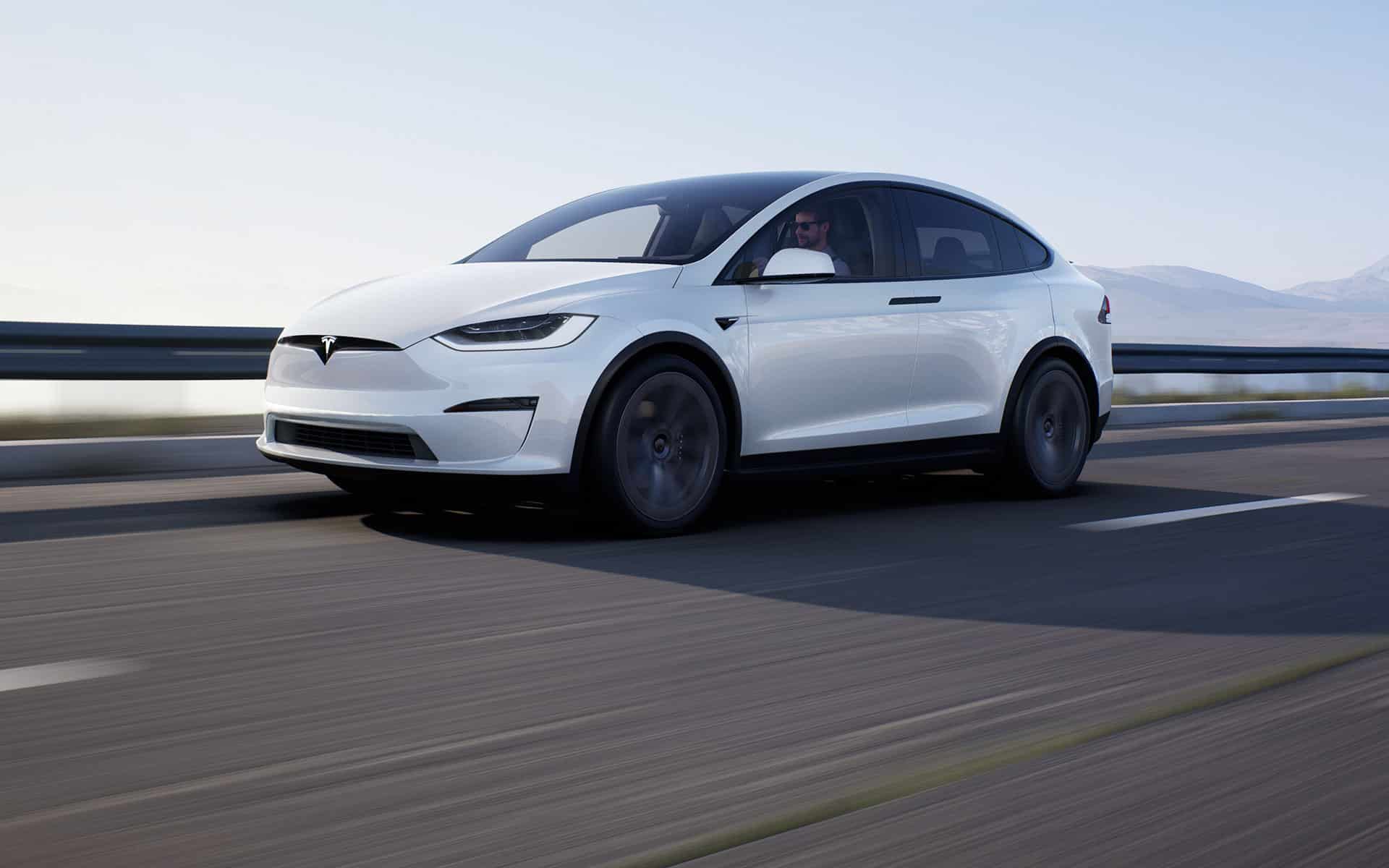 faqs-wraptors-orlando