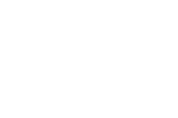 Wraptors Orlando